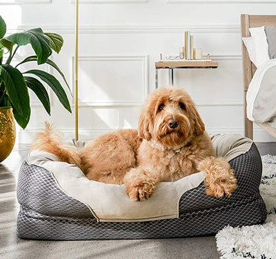 Dog Bed