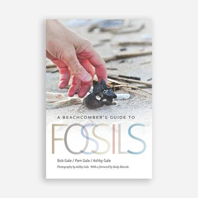 Guide to Beach Fossils Book