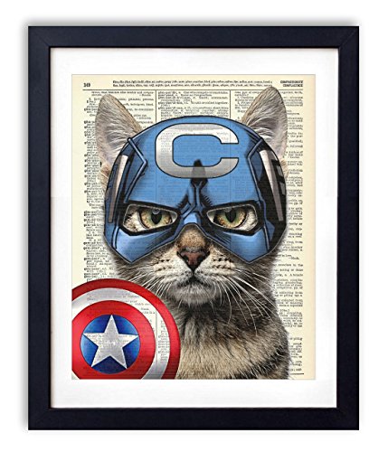 Cat Captain America Dictionary Art