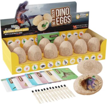 Dinosaur Eggs Kit