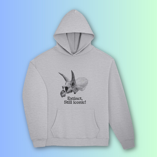 Dinosaur Oversized Hoodie