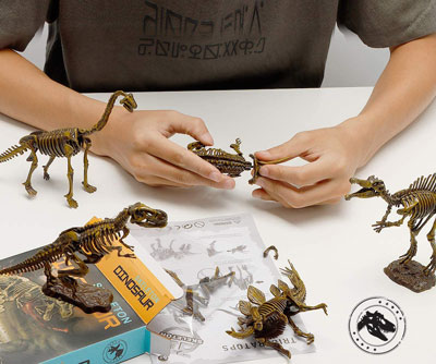 Dino Fossil Assembly