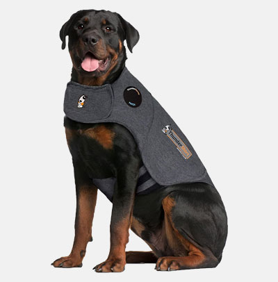 Dog Anxiety Jacket