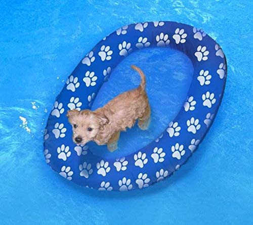 Dog Pool Float
