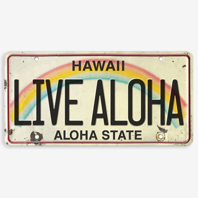 Hawaii Decorative License Plate