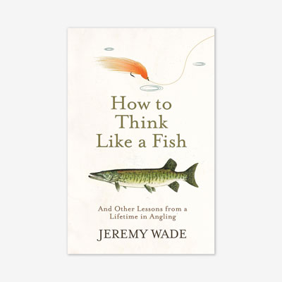 How to Think Like a Fish