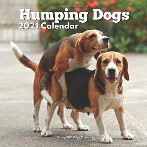 Dog Calendar