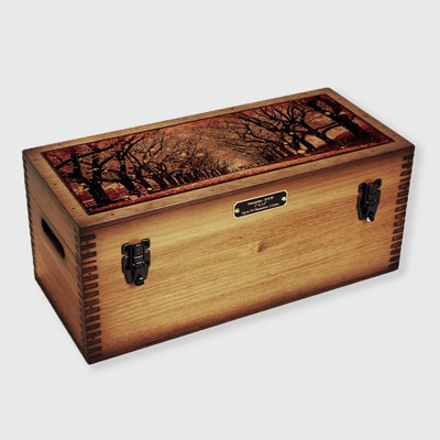 Japanese Cherry Blossoms Storage Box