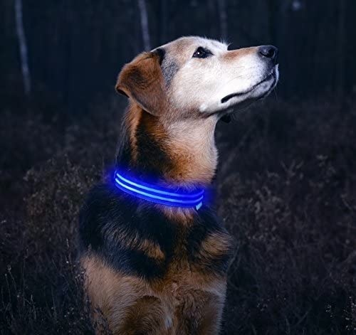 LED Dog Collar