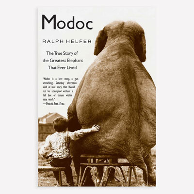 Elephant book