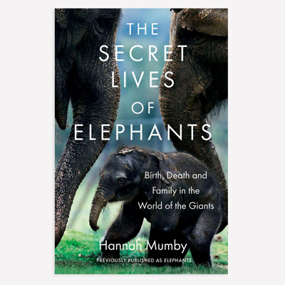 Elephant Photobook