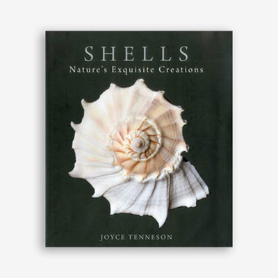 Shells - Hardcover