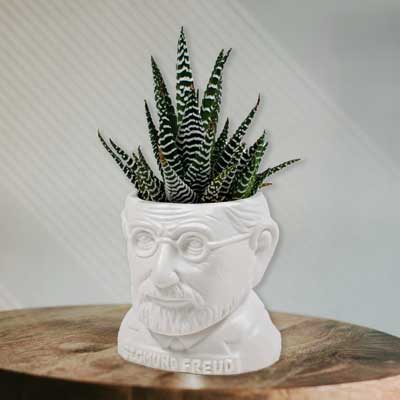 Freud Themed Planter