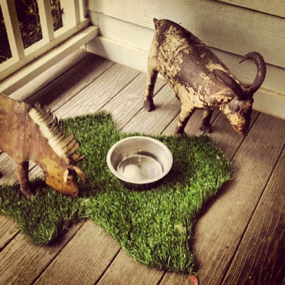 Texas Doormat