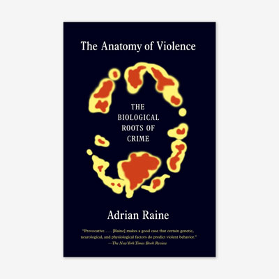The Anatomy of Violence