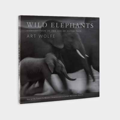 Elephant Photobook
